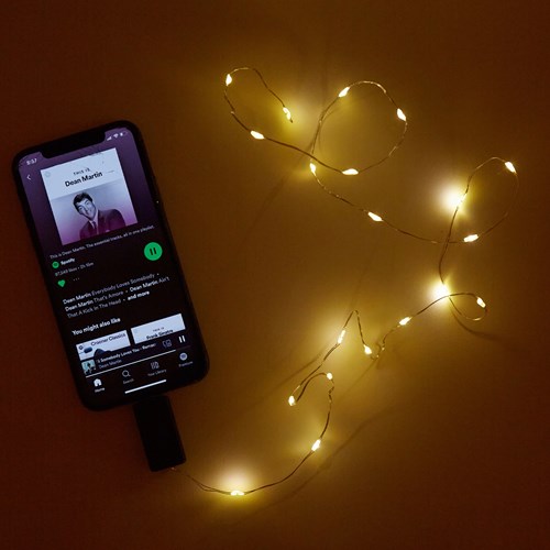 Ljudaktiverad ljusslinga till Iphone, Stål