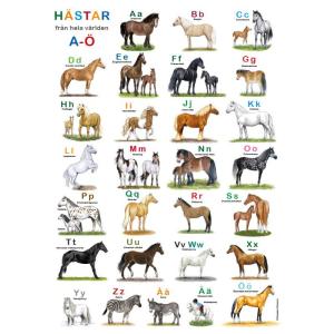 Affisch "Hästar ABC"