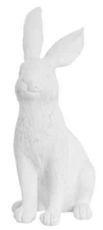 Semina Kanin