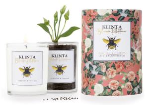 Botaniska Ljus - Doftljus & blomsterfrön (Vildfikon & Vindruva) - Klinta