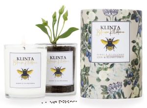 Botaniska Ljus - Doftljus & blomsterfrön (Bambu & Olivblomma) - Klinta